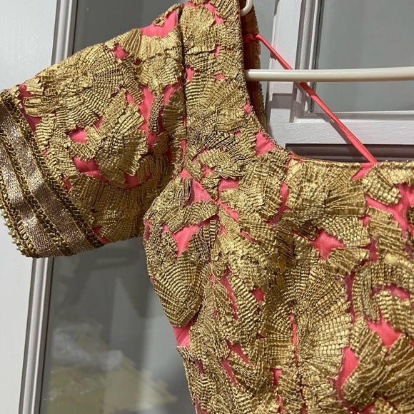 Indian latest lehnga sari dress - Picture 6 of 14